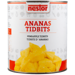 8130011-Ananas-tidbits-choice-kopiëren